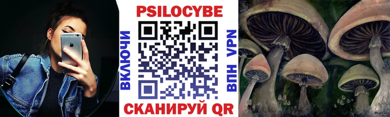 Псилоцибиновые грибы Psilocybe Белоярский
